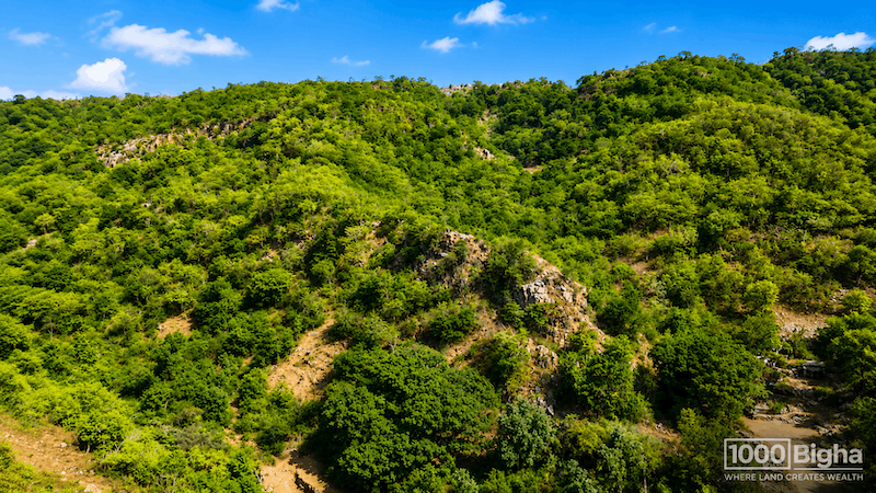 300+ bigha Land Parcel in Kumbhalgarh Tehsil